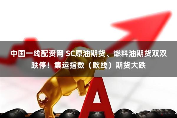 中国一线配资网 SC原油期货、燃料油期货双双跌停！集运指数（欧线）期货大跌