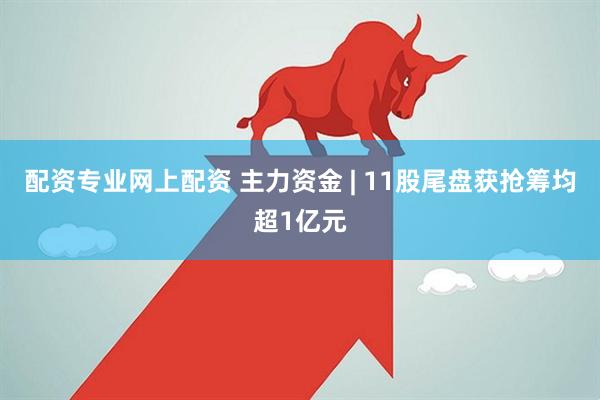 配资专业网上配资 主力资金 | 11股尾盘获抢筹均超1亿元